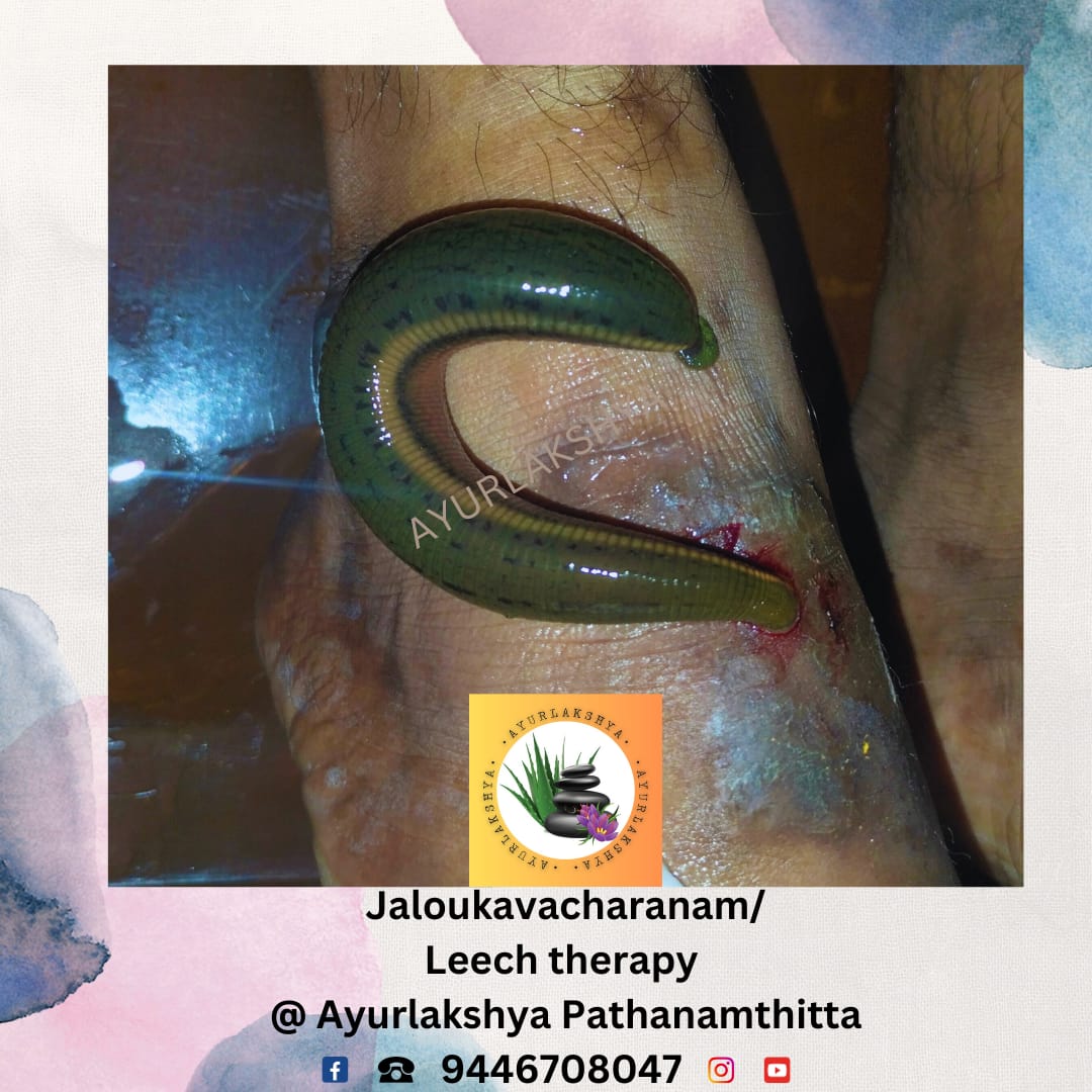 Ayurlakshya Multi Speciality Centre For Ayurveda